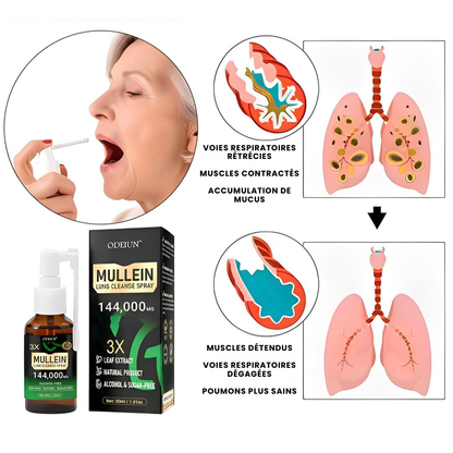 ODEIUN® – Spray Nettoyant des Poumons à la Molène 3X Concentrée - Détox Respiratoire Avancée & Respiration Plus Dégagée