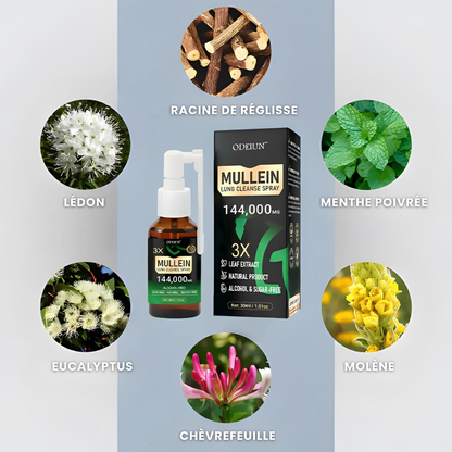 ODEIUN® – Spray Nettoyant des Poumons à la Molène 3X Concentrée - Détox Respiratoire Avancée & Respiration Plus Dégagée
