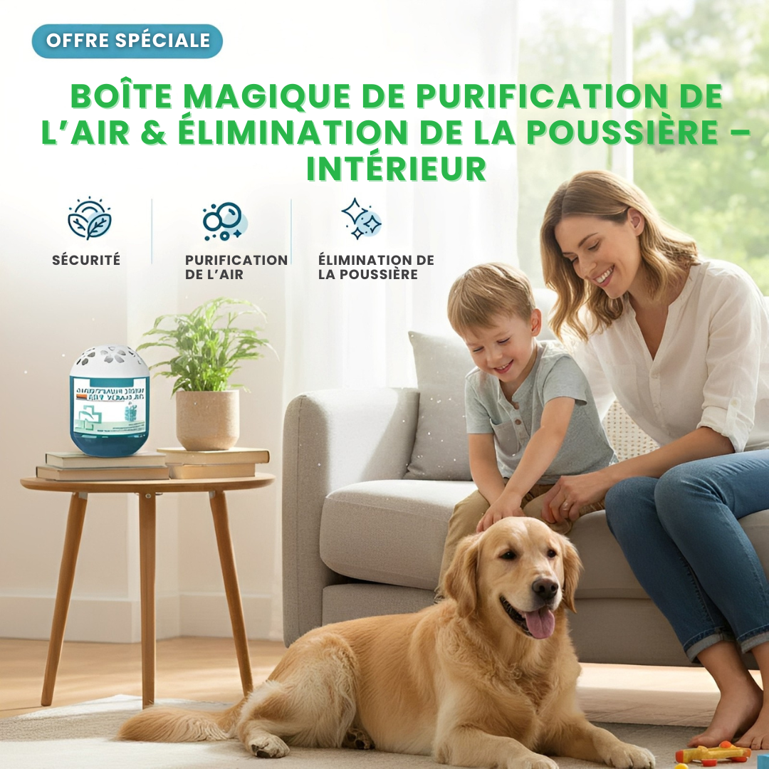 MAGIC-BOX® : Boîte Magique de Purification de l’Air & Élimination de la Poussière pour Intérieur