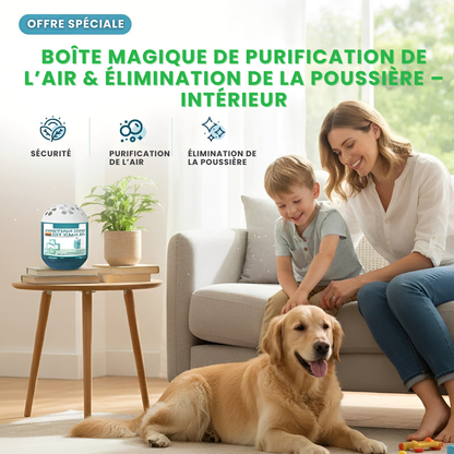 MAGIC-BOX® : Boîte Magique de Purification de l’Air & Élimination de la Poussière pour Intérieur