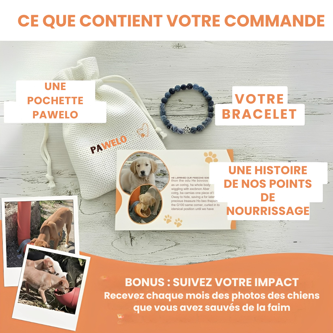 PAWELO™ – Le bracelet qui nourrit 10 chiens abandonnés à chaque achat
