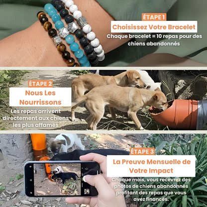 PAWELO™ – Le bracelet qui nourrit 10 chiens abandonnés à chaque achat