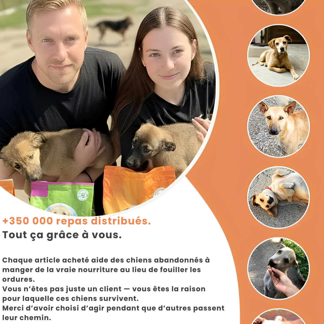 PAWELO™ – Le bracelet qui nourrit 10 chiens abandonnés à chaque achat